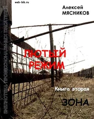 Алексей Мясников - Зона