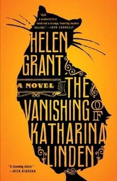 Helen Grant The Vanishing of Katharina Linden обложка книги