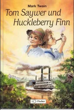 Mark Twain Tom Sawyer und Huckleberry Finn обложка книги