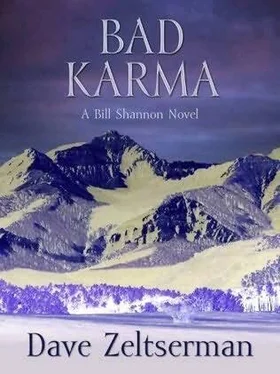 Dave Zeltserman Bad Karma обложка книги