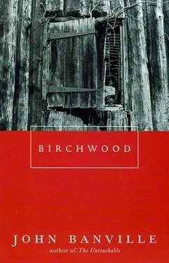 John Banville Birchwood обложка книги