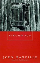 John Banville - Birchwood