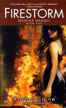 Rachel Caine Firestorm обложка книги