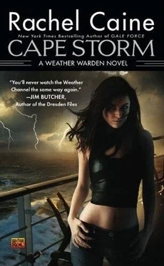 Rachel Caine Cape Storm обложка книги