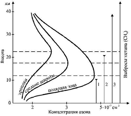 Рис 10 Широтное распределение озона и техногенноприродные источники метана - фото 15