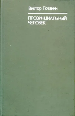 Виктор Потанин Провинциальный человек обложка книги