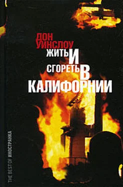 Дон Уинслоу Жить и сгореть в Калифорнии обложка книги