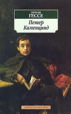 Герман Гессе Петер Каменцинд обложка книги