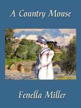 Fenella Miller A Country Mouse обложка книги