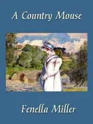 Fenella Miller - A Country Mouse