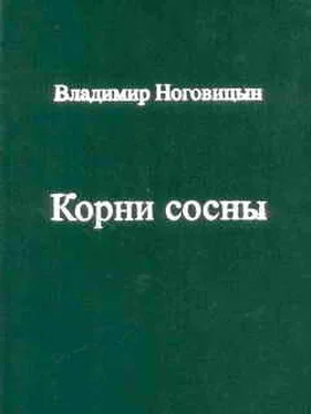 Владимир Ноговицын Корни сосны обложка книги