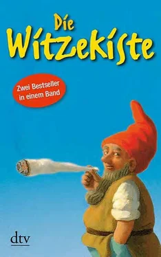 Peter Jamin Ganz Deutschland lacht!. 50 deutsche Jahre im Spiegel ihrer Witze обложка книги