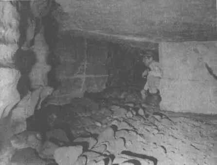 4 Im Innern des künstlichen Tunnelsystems Es wimmelt von zahllosen seltsamen - фото 4