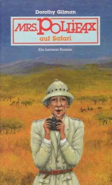 Dorothy Gilman MRS. POLLIFAX AUF SAFARI. Ein heiterer Roman. обложка книги