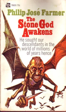 Филип Фармер The Stone God Awakens обложка книги