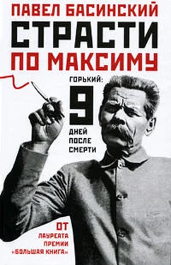 Павел Басинский Страсти по Максиму. Горький: девять дней после смерти обложка книги