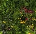 Осень Осеннюю палитру составляют краски с теплым основным тоном словно - фото 32