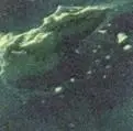 В Японии например цвета Кабуки темнозеленый цвет сосновых игл - фото 34
