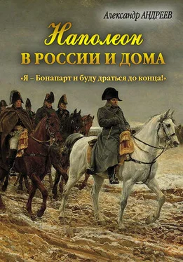 Александр Андреев Наполеон в России и дома. «Я – Бонапарт и буду драться до конца!» обложка книги