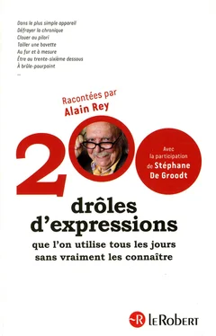 Alain Rey 200 drôles d'expressions обложка книги