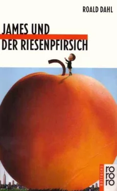 Roald Dahl James und der Riesenpfirsich