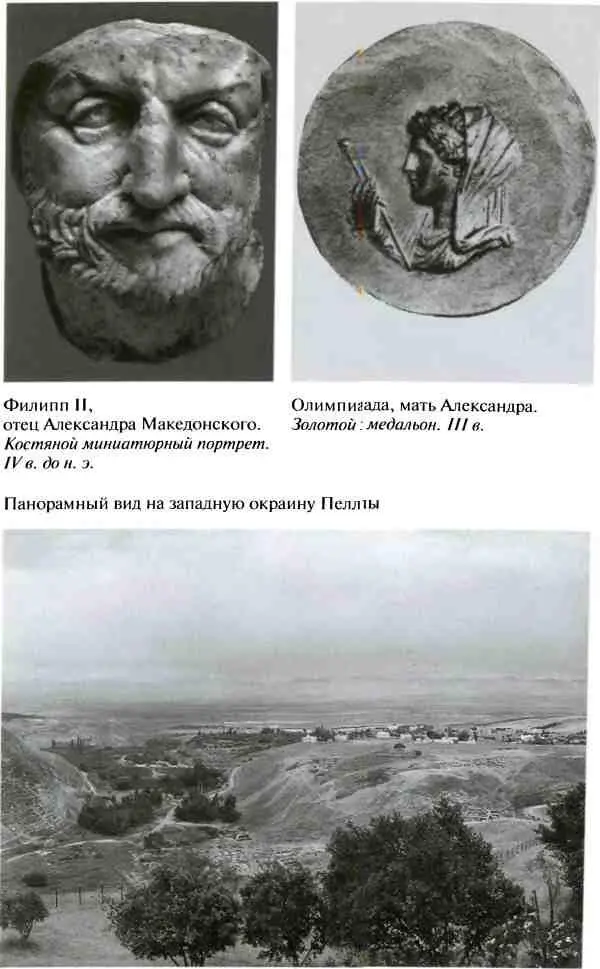 Повседневная жизнь армии Александра Македонского - фото 2