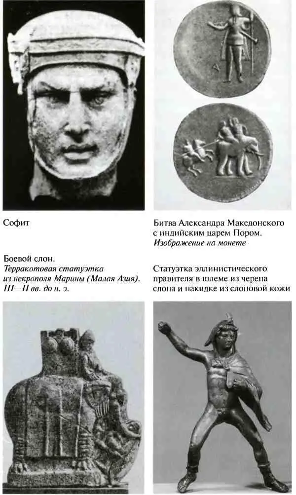 Повседневная жизнь армии Александра Македонского - фото 14