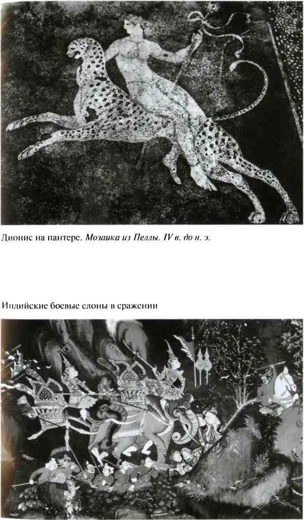 Повседневная жизнь армии Александра Македонского - фото 15