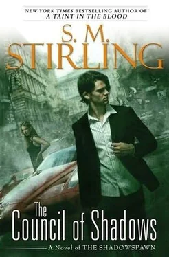 S Stirling The Council of Shadows обложка книги