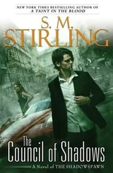 S Stirling - The Council of Shadows