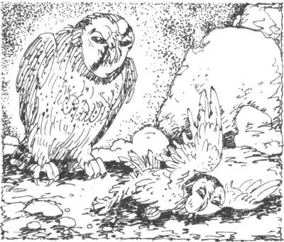 Когда Филиппа выбросило из Крушилен прямо в поджидавшие когти Чистых он понял - фото 37