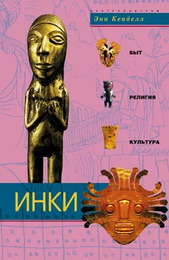 Энн Кенделл Инки. Быт, религия, культура обложка книги