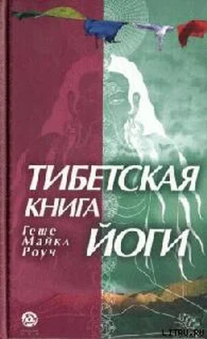 Майкл Роуч ТИБЕТСКАЯ КНИГА ЙОГИ обложка книги