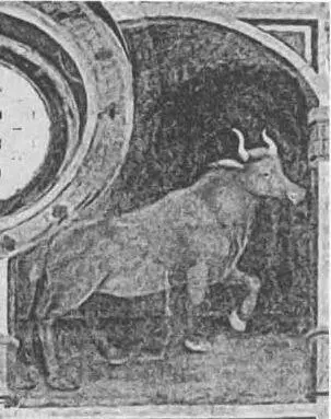 Рис 495 Созвездие Тельца на зодиаке RP Фотография 2007 года Рис 496 - фото 322
