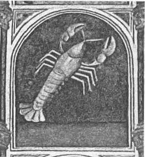 Рис 497 Созвездие Рака на зодиаке RP Фотография 2007 года Рис 498 - фото 324
