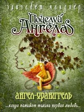 Элизабет Чандлер Ангел-хранитель обложка книги