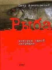 Петр Алешковский - Рыба. История одной миграции