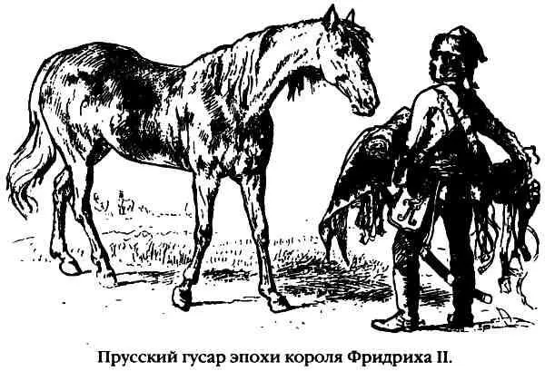 Пруссия В 1721 году в Пруссии было два гусарских отряда 9 эскадронов около - фото 4