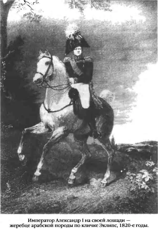 В ноябре 1819 года в Высочайшем указе О содержании от казны верховых лошадей - фото 49
