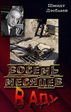 Шмидт Дзоблаев Восемь месяцев в аду (исповедь заложника) обложка книги