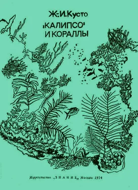 Жак-Ив Кусто «Калипсо» и кораллы обложка книги