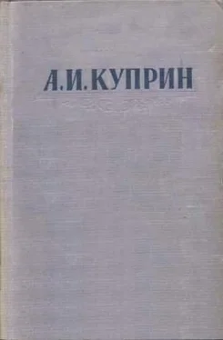 Александр Куприн Папаша обложка книги