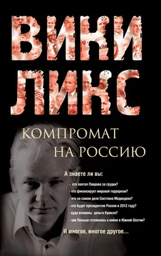 Сборник Викиликс. Компромат на Россию обложка книги