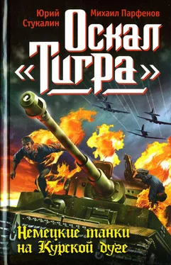 Юрий Стукалин Оскал «Тигра». Немецкие танки на Курской дуге