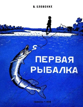 Василий Еловских Первая рыбалка [Рассказы] обложка книги