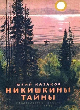 Юрий Казаков Никишкины тайны обложка книги