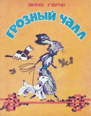 Анна Гарф Грозный Чалл [Монгольские сказки] обложка книги