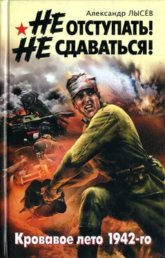 Александр Лысёв Не отступать! Не сдаваться! обложка книги