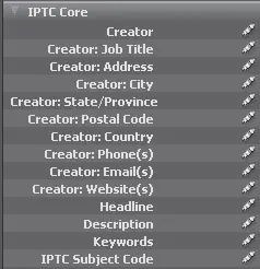 Рис 447Свиток IPTC Core В свитке AudioАудио располагаются все необходимые - фото 106