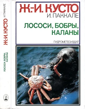 Жак-Ив Кусто Лососи, бобры, каланы обложка книги